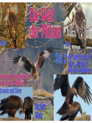 cover image of Die Welt der Milane Teil 2